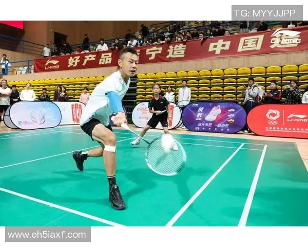 羽毛球盛宴：深入了解西安羽毛球队的训练与技术解析